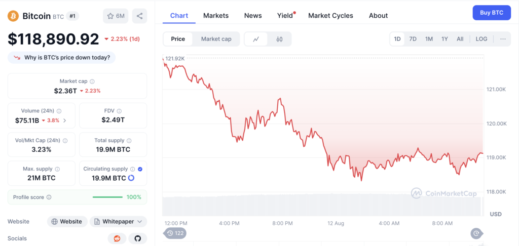 نمودار روزانه قیمت و اطلاعات بازار بیت کوین - منبع: CoinMarketCap